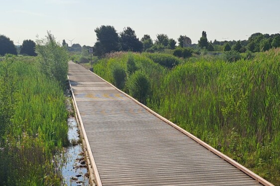 SB paysage 2025